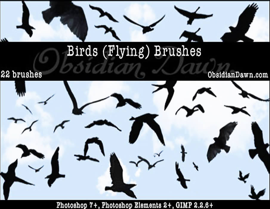 Birds Flying Brushes