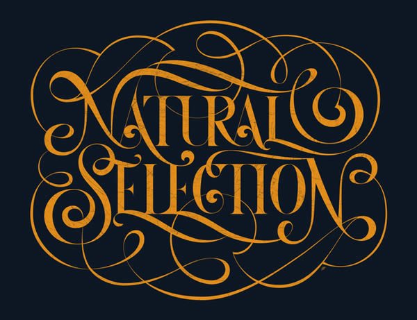 SocialFabrik Lettering