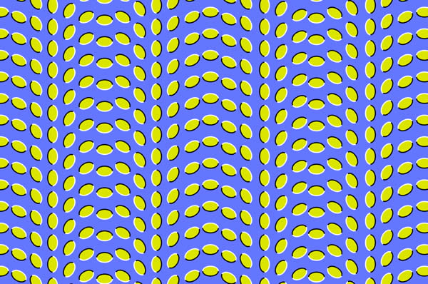 Motion Illusion in a Stationary Image