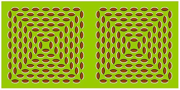 Optical Illusion - Leaves