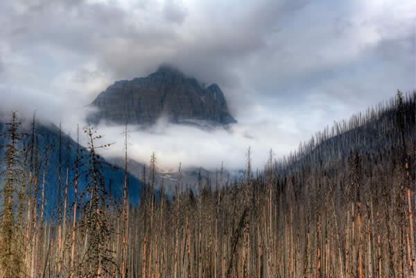 Hidden Peak