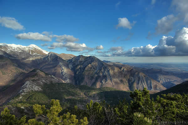 Afternoon in the Mountain