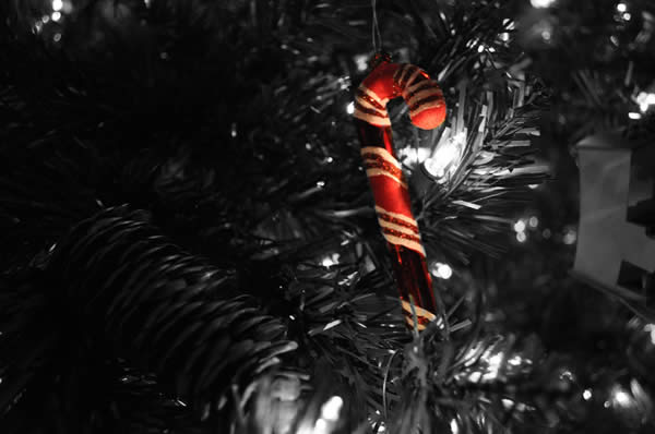 Candy Cane