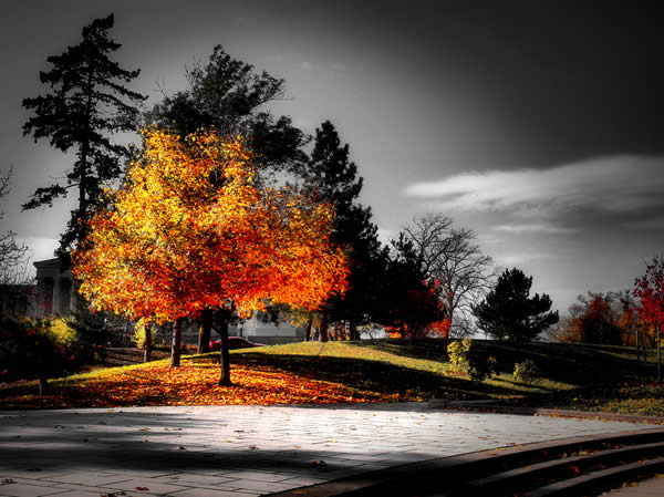 Fall: Selective Coloring