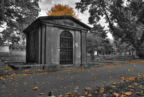 Fall Selective Color