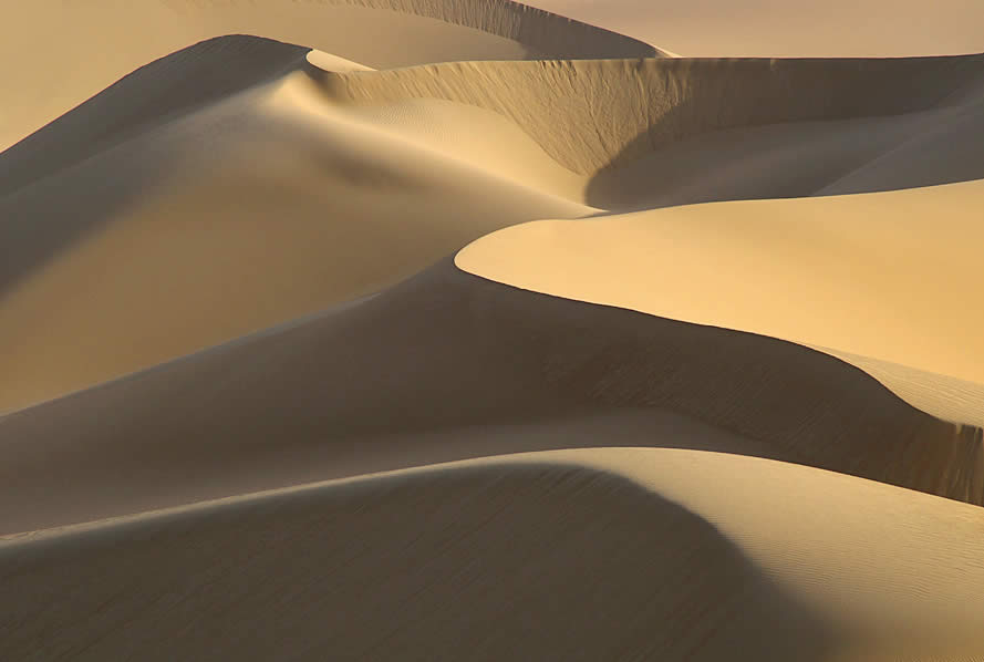 Deep in the Dunes