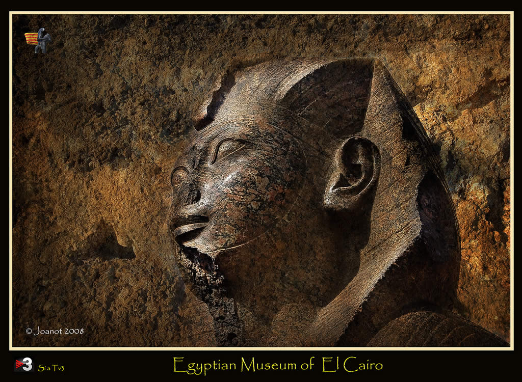 Egyptian Museum (El Cairo) Egypt