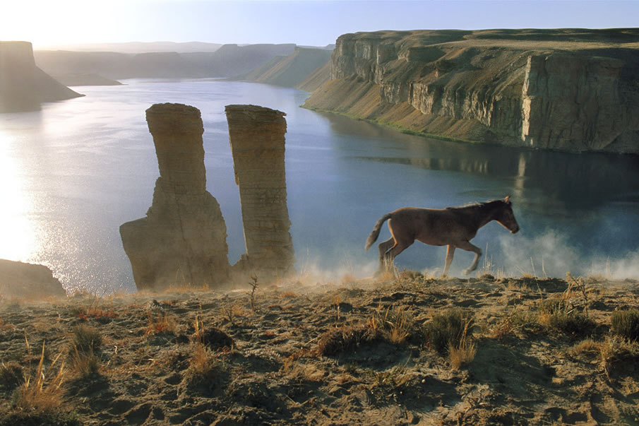 Landscape with Horse