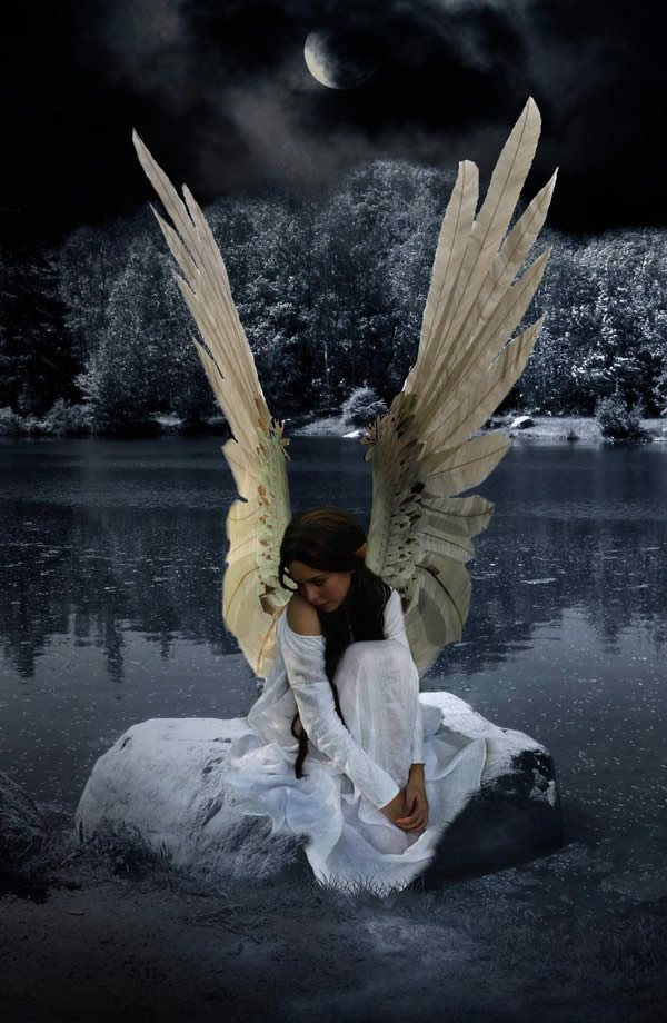 Beautiful Fallen Angel