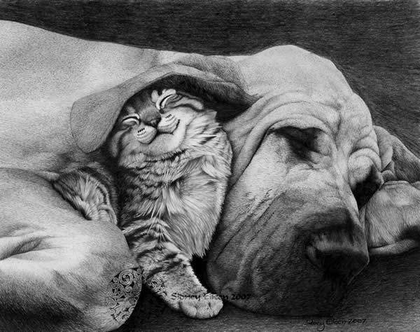 The Best of Friends