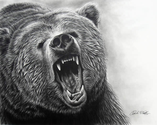 Grizzly Bear