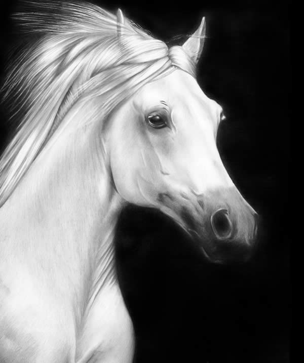 White Horse