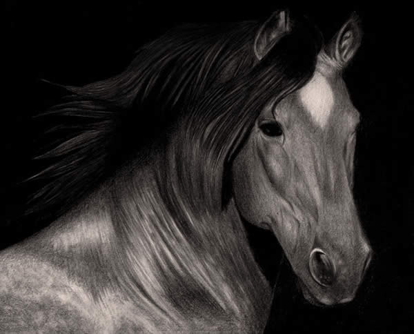 Brown Horse