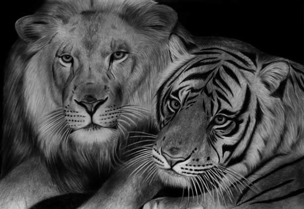 Kingdom