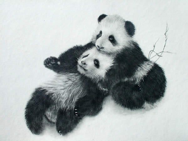 Pandas