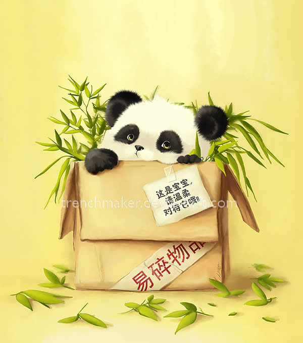 Bao Bao