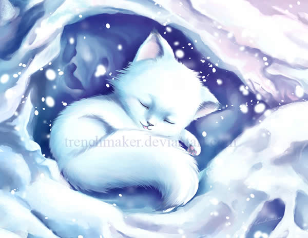 Lil Polarfox