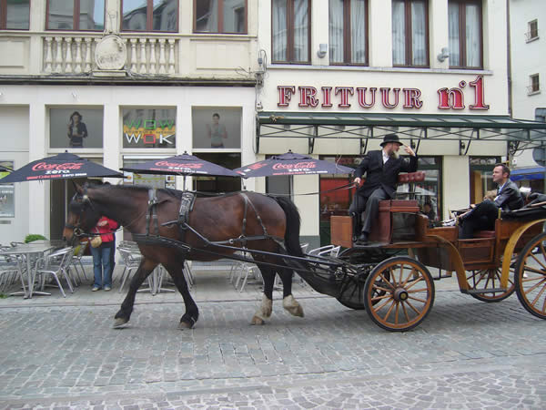 Horse tour past Frituur