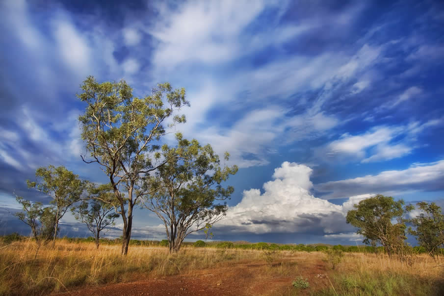 The Outback, Pine Creek