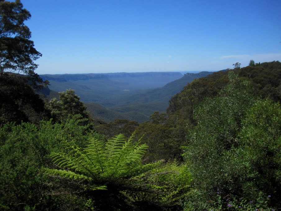 blue mountains