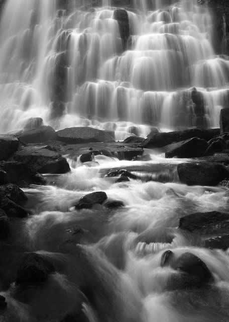 Tasmania - Water Fall