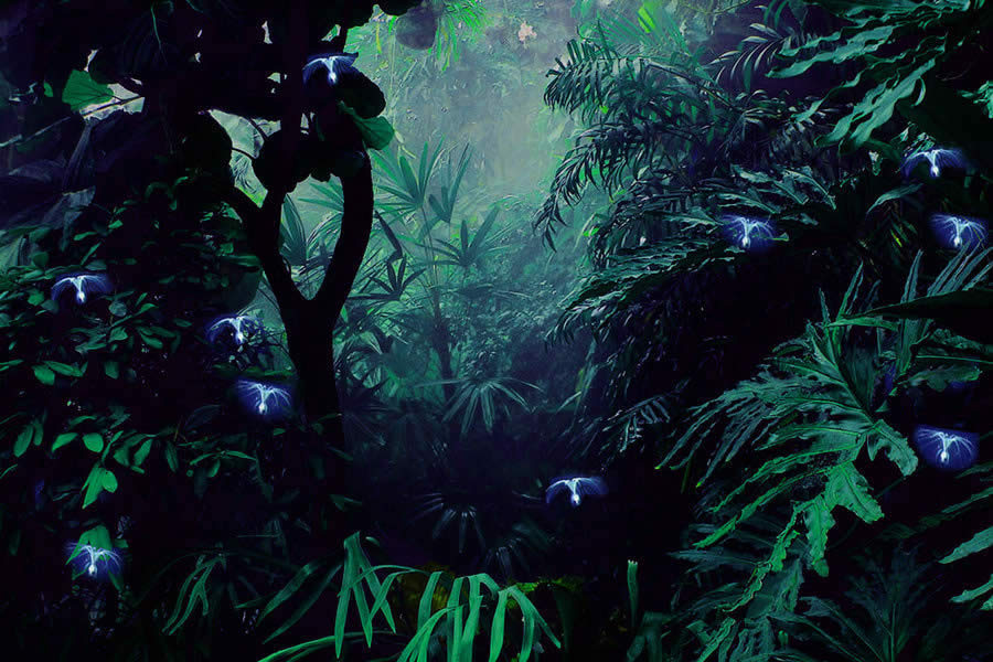 Jungle of Pandora