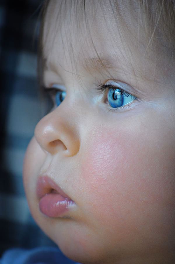 >Baby Girl Blue Eyes” /><br />author: <a target='_blank' href=