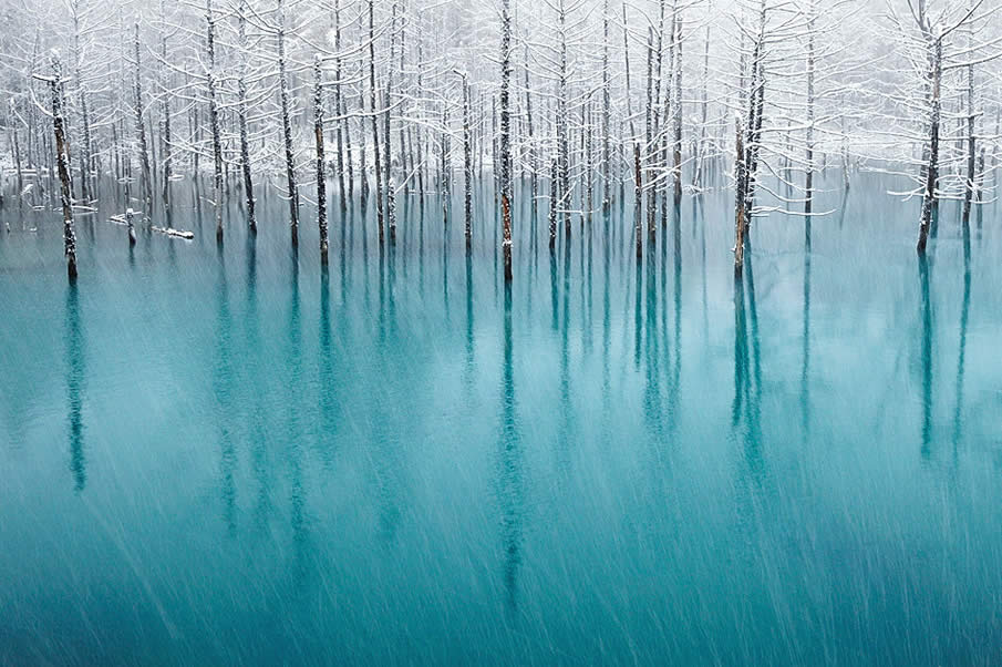 Blue Pond & First Snow