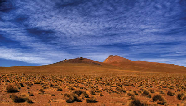 Backlands Bolivia