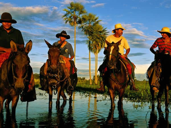 Pantanal Cowhands