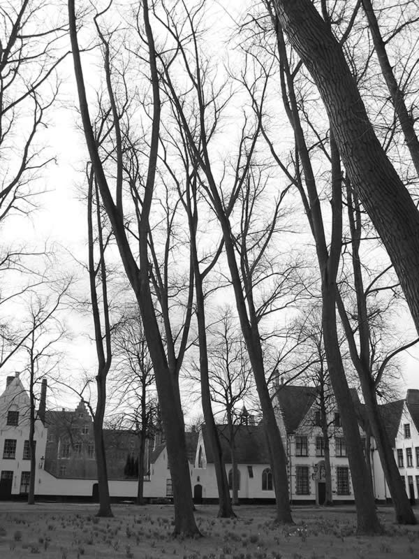 Bruges, le beguinage