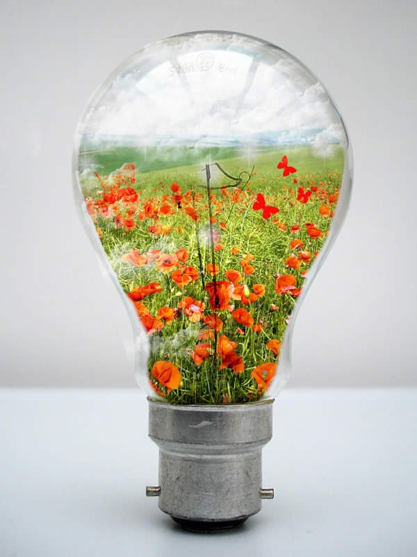 My World in a Light Bulb