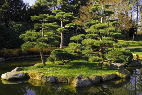 China Garden