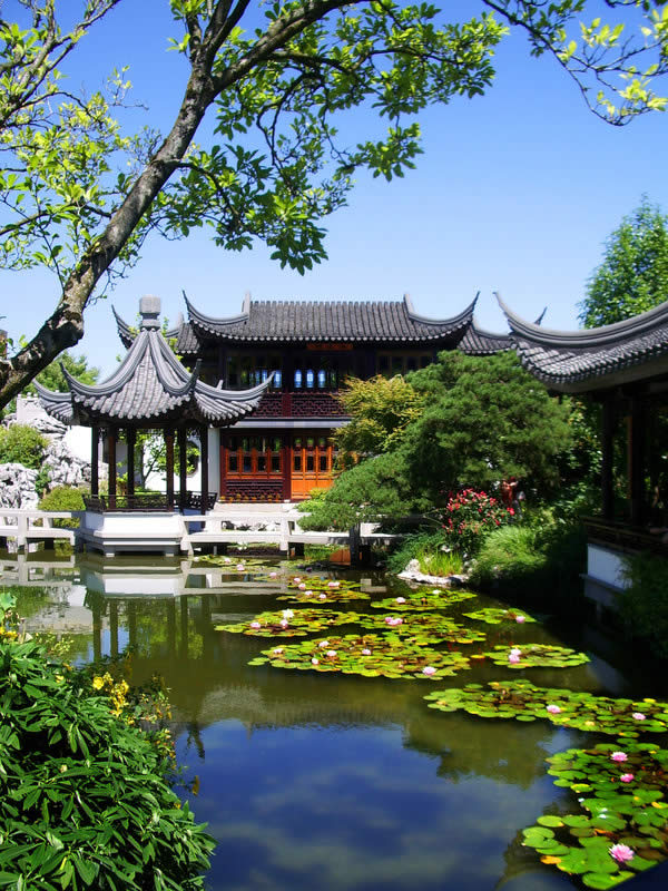 Gorgeous Chinese Garden