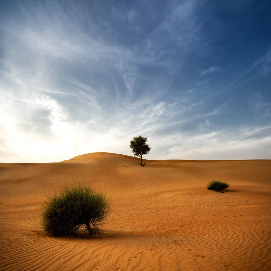 Desert Poetry I