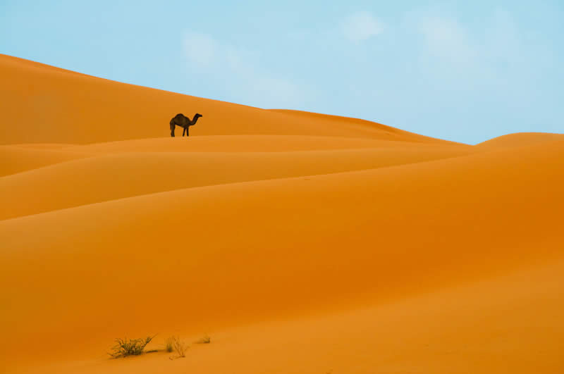 Among Sand Dunes