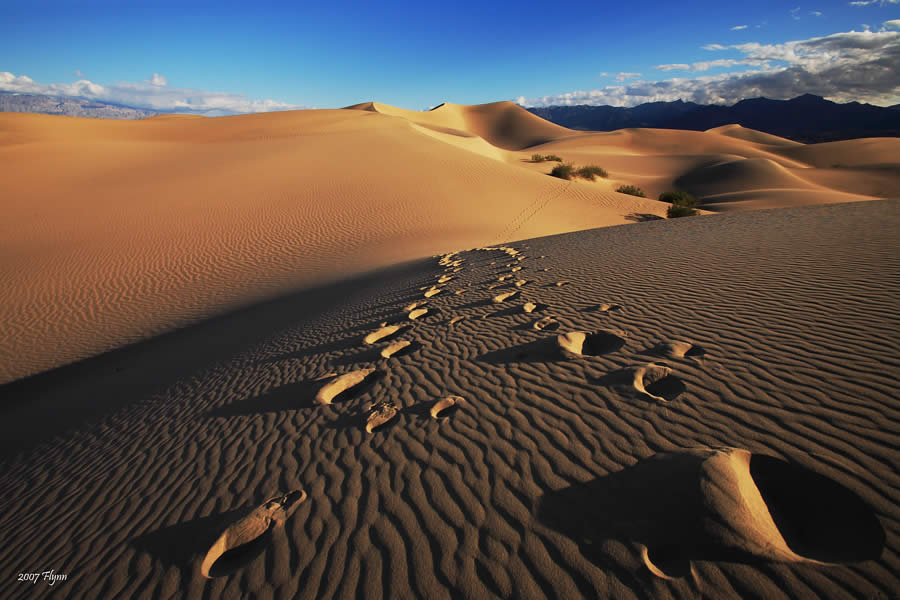 Traces of Life in Death Valley