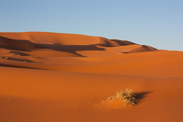 Sahara Desert, Morocco