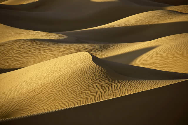 Sahara Desert Sand Dunes in Evening Light