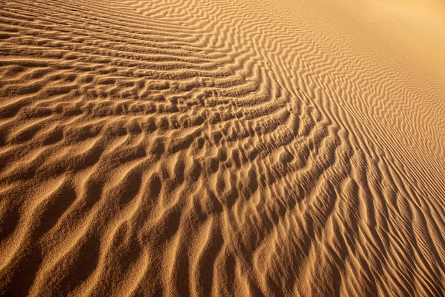 Rippled Desert Sand Dunes