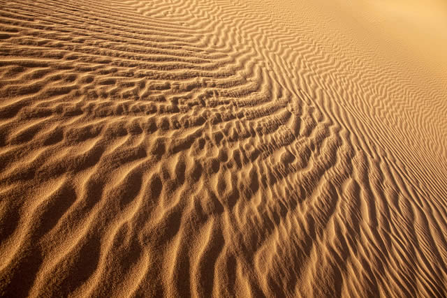 Rippled Desert Sand Dunes