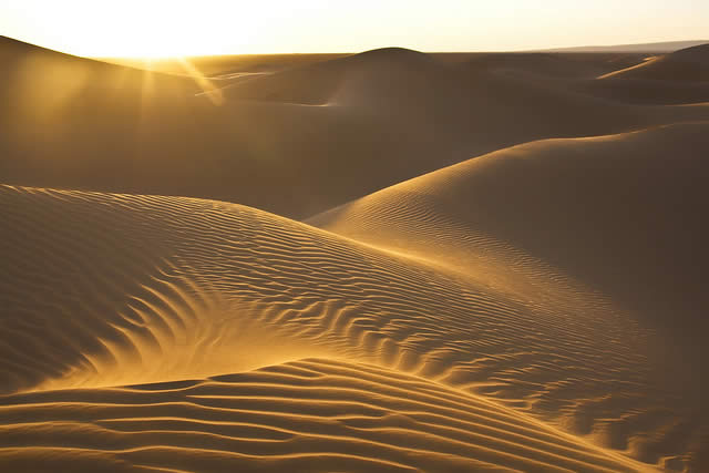 Sunset in the Sahara Desert