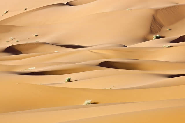 Sahara Desert Sand Dunes in Merzouga