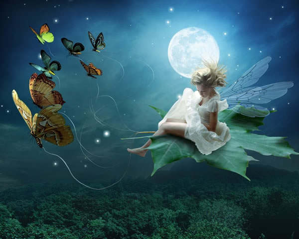 Moonlit Fairy