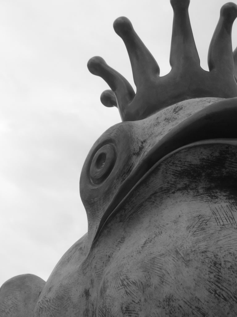 frog prince