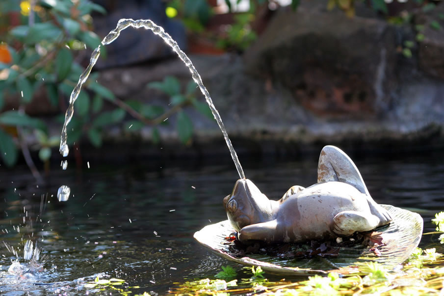 Reclining Frog