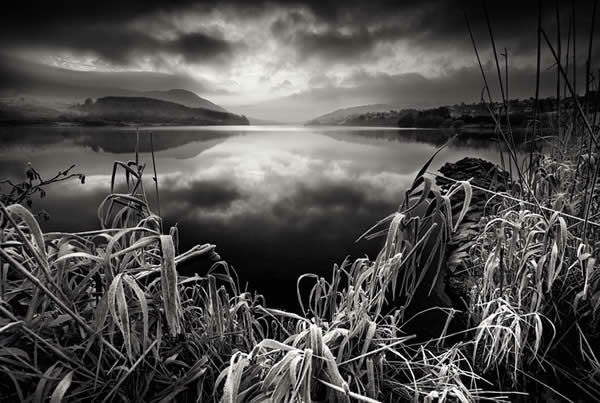 Frost on the lake B&W