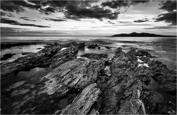 Curlew Point B&W - Killough