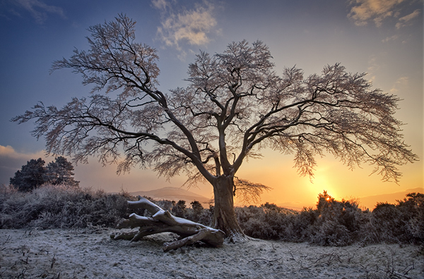 A Winters Sunset