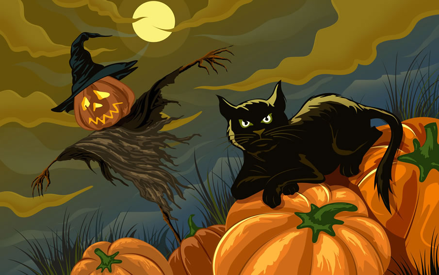 Black Cat and Jack-o-lanterns 